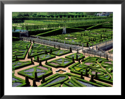 Garden At Villandry Chateau, Loire Valley, by David Barnes Pricing Limited Edition Print image