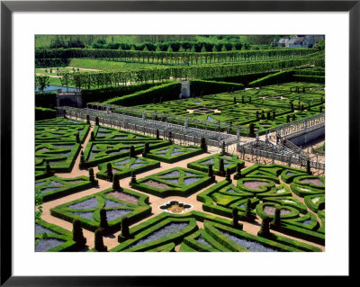 Garden At Villandry Chateau, Loire Valley, by David Barnes Pricing Limited Edition Print image
