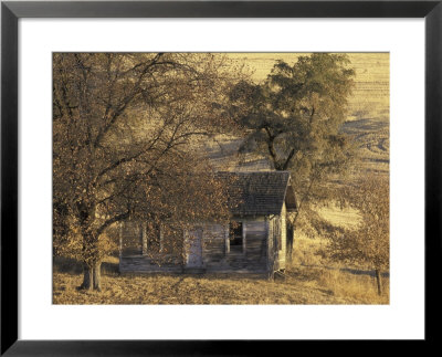Abandoned Farm House In Wheat Field, Uniontown, Washington, Usa by William Sutton Pricing Limited Edition Print image