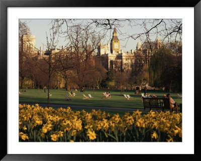 Daffodils In St. James's Park, With Big Ben Behind, London, England, United Kingdom by I Vanderharst Pricing Limited Edition Print image