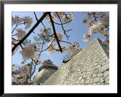 Matsuyama Castle, Spring Cherry Blossoms, Matsuyama City, Ehime Prefecture, Shikoku Island, Japan by Christian Kober Pricing Limited Edition Print image
