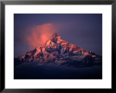 Machhapachhee Peak Or Fish Tail Mountains, Pokhara, Gandaki, Nepal by Shannon Nace Pricing Limited Edition Print image