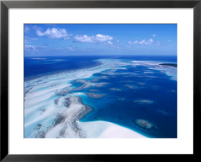 Coral Reef, Torres Strait Islands, Torres Strait Islands, Queensland, Australia by Oliver Strewe Pricing Limited Edition Print image