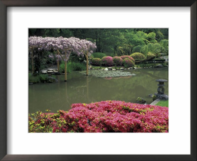 Japanese Garden With Rhododendrons And Wysteria, Seattle, Washington, Usa by Jamie & Judy Wild Pricing Limited Edition Print image