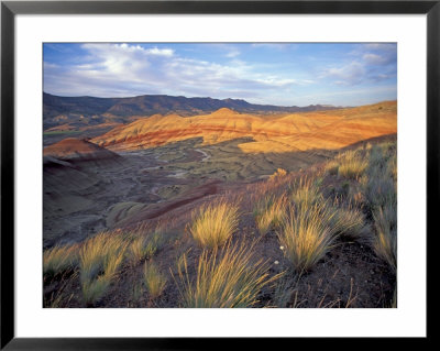 Painted Hills Unit, John Day Fossil Beds National Monument, Oregon, Usa by Brent Bergherm Pricing Limited Edition Print image