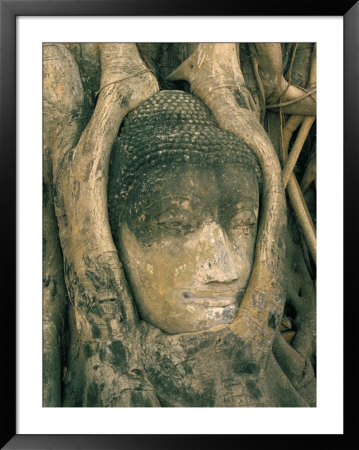 Head Of Buddha Statue Overgrown With Tree Roots, Wat Phra Mahathat, Ayuthaya (Ayutthaya), Thailand by Marco Simoni Pricing Limited Edition Print image