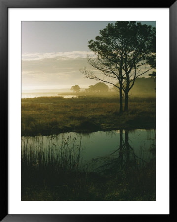 Scenic View Of The Misty Marsh Landscape by Al Petteway Pricing Limited Edition Print image