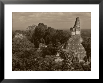 Temple 1 Stands In The Forest At Tikal by Stephen Alvarez Pricing Limited Edition Print image