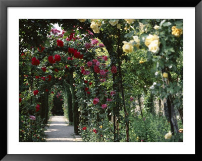 Arches Covered With Roses, Generalife Gardens, Alhambra, Granada by Nedra Westwater Pricing Limited Edition Print image