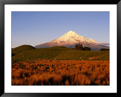 Snow-Capped Mt. Taranaki From Across Plain, Taranaki, North Island, New Zealand by Oliver Strewe Pricing Limited Edition Print image