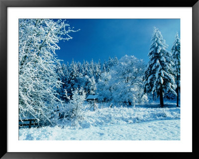 Fresh Snowfall In Rural Lane County, Oregon, Usa by Greg Gawlowski Pricing Limited Edition Print image