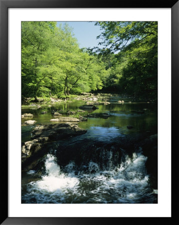 Waterfalls On The Eno River Passing Through A Hardwood Forest by Raymond Gehman Pricing Limited Edition Print image
