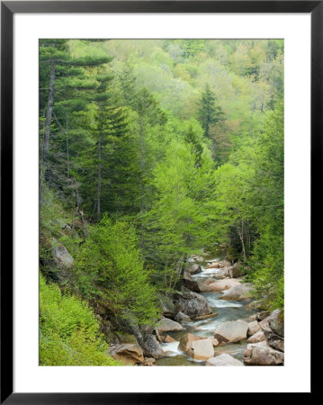 Spring On The Pemigewasset River, Flume Gorge, Franconia Notch State Park, New Hampshire, Usa by Jerry & Marcy Monkman Pricing Limited Edition Print image