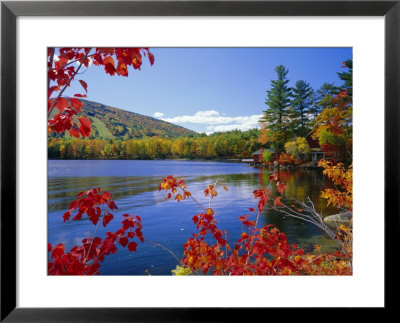 Fall Colours, Moose Pond, With Mount Pleasant In The Background, Maine, New England, Usa by Roy Rainford Pricing Limited Edition Print image