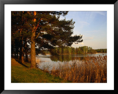 Trees And Lake Outside Aukstadvaris, Trakai, Lithuania by Jonathan Smith Pricing Limited Edition Print image
