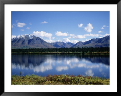Denali, Alaska by Timothy O'keefe Pricing Limited Edition Print image