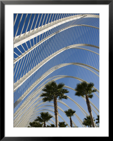 El Ombracle (Walkway / Garden ), City Of Arts And Sciences, Valencia, Spain by Greg Elms Pricing Limited Edition Print image