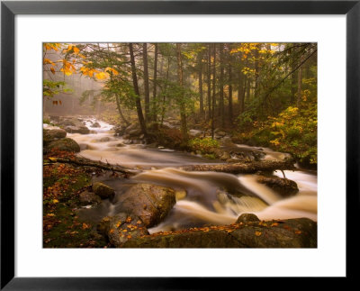 Flowing Streams Along The Appalachian Trail, East Arlington, Vermont, Usa by Joe Restuccia Iii Pricing Limited Edition Print image