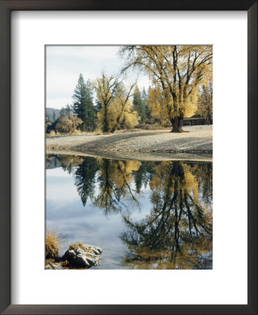 Autumn Leaves Growing Along A Gravel Riverbank Add Color To The Sacramento River by Joseph Baylor Roberts Pricing Limited Edition Print image