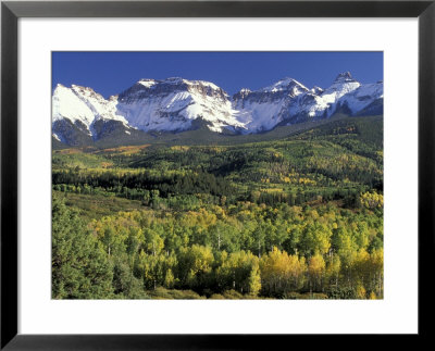 Fall Color And Landscape, Mt. Sneffels Wilderness, Colorado, Usa by Gavriel Jecan Pricing Limited Edition Print image