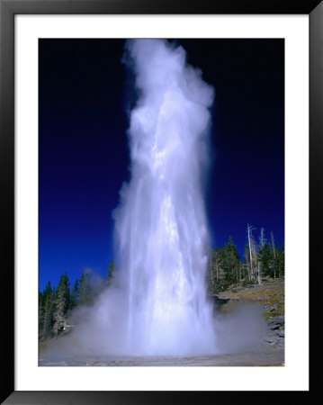 Water Spouting From Grand Geyser, Yellowstone National Park, Usa by Carol Polich Pricing Limited Edition Print image