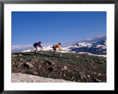 Mountain Biking In Loveland Pass, Colorado, Usa by Lee Kopfler Pricing Limited Edition Print image