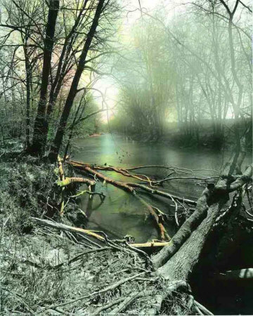 Mystic River by P.T. Turk Pricing Limited Edition Print image