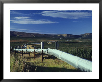 View Of The Trans-Alaska Pipeline In The Fall by George Herben Pricing Limited Edition Print image