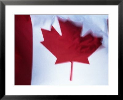 Canadian Flag by Peter Adams Pricing Limited Edition Print image
