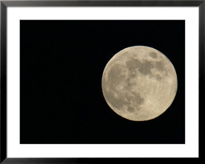 Full Moon by Arthur Morris Pricing Limited Edition Print image
