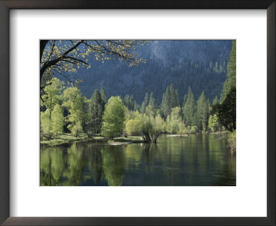 Spring View Of The Merced River by Marc Moritsch Pricing Limited Edition Print image