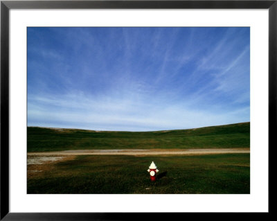 A Fire Hydrant In A Green Field Under A Wide Blue Sky by Raymond Gehman Pricing Limited Edition Print image