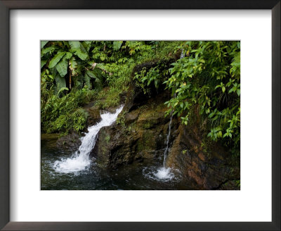 Two Small Waterfalls Flow Into Fresh Water Pond In A Rain Forest by Todd Gipstein Pricing Limited Edition Print image