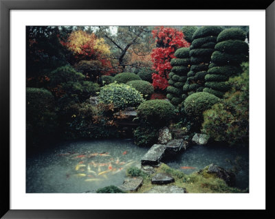 View Of A Private Garden In Hagi by Sam Abell Pricing Limited Edition Print image