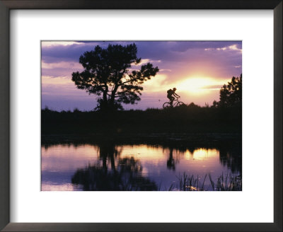 Silhouetted Cyclist, Arizona by David Edwards Pricing Limited Edition Print image