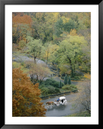 Aerial View Of A Horse-Drawn Carriage In Central Park by Jodi Cobb Pricing Limited Edition Print image