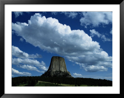 View Of Devils Tower by Randy Olson Pricing Limited Edition Print image