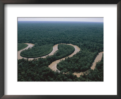 An Aerial Of The Rio Los Amigos Snaking Through A Rain Forest Reserve by Maria Stenzel Pricing Limited Edition Print image