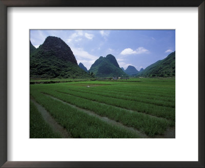 Yangdi Valley Farm Fields, Guilin, Guangxi, China by Raymond Gehman Pricing Limited Edition Print image