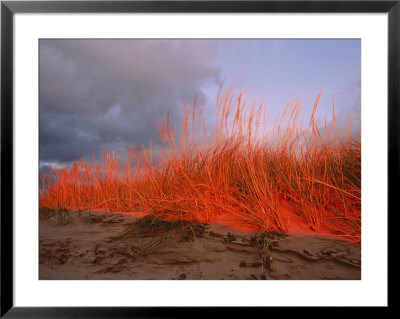 Dunes On The Pierce Stocking Scenic Drive by Melissa Farlow Pricing Limited Edition Print image