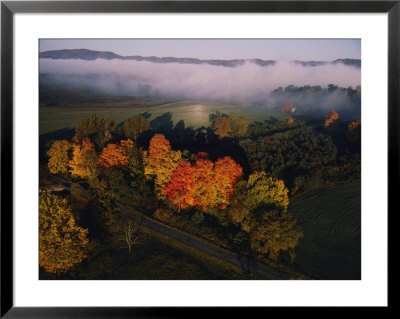 Fog Hangs Over Trees Decorated With Autumn Colors In A West Virginia Valley by Jodi Cobb Pricing Limited Edition Print image