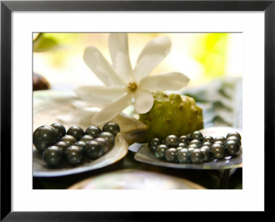 Black Pearl Farming At Hinano Pearl Farm, Fakarava, Tuamotus, French Polynesia by Michele Westmorland Pricing Limited Edition Print image