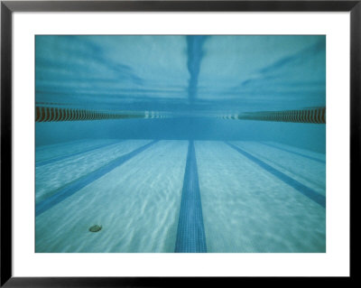 A Below-The-Surface View Of A Swimming Pool by Bill Curtsinger Pricing Limited Edition Print image