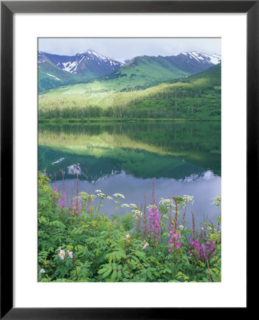 Summit Lake, Sunbeam On Forest, Firewee, Chugach National Forest, Alaska by Rich Reid Pricing Limited Edition Print image