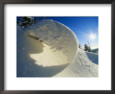 Close View Of Snow Bank by Norbert Rosing Pricing Limited Edition Print image