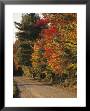 Fall Colors Line A New England Road by Heather Perry Pricing Limited Edition Print image
