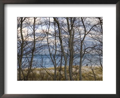 New England Massachusetts Beach Scene In Cape Cod, United States by Keenpress Pricing Limited Edition Print image