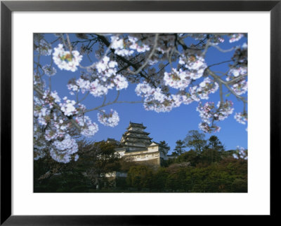 Spring Blossom And Himeji Castle, Built In 1580, Himeji, West Honshu, Japan by Robert Francis Pricing Limited Edition Print image