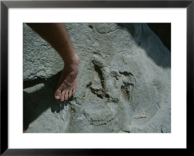 Human Tracks Preserved In Rock That Date Back 117,000 Years Ago by Kenneth Garrett Pricing Limited Edition Print image