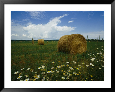 Hay Farm In Michigans Upper Peninsula by Phil Schermeister Pricing Limited Edition Print image